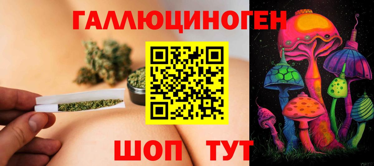 Псилоцибиновые грибы мицелий Кемерово