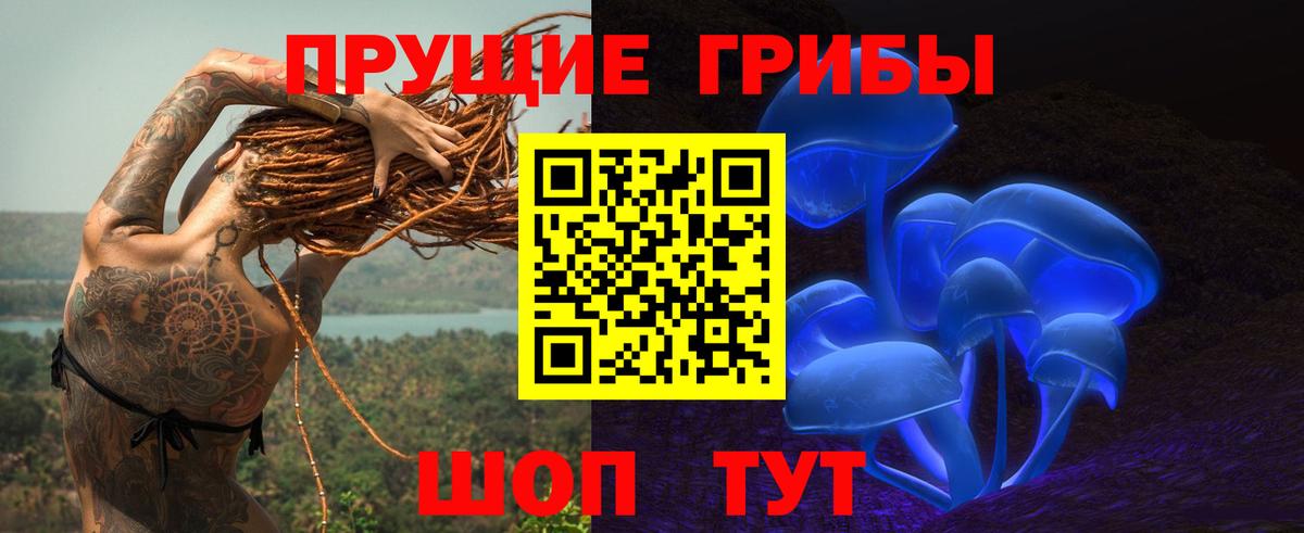 Псилоцибиновые грибы Psilocybe  Вход с VPN  Кемерово 